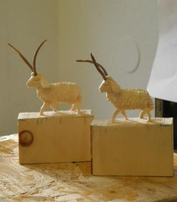 DSCN7872.jpg