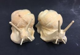 schnecke 5.jpg