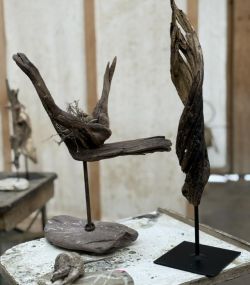 IMG_E1435.jpg