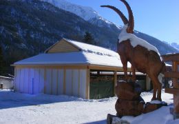 steinbock-schnitzschule-03.jpg