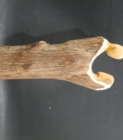DSCN8308.jpg