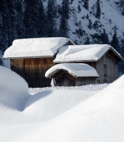 winter19(2).jpg